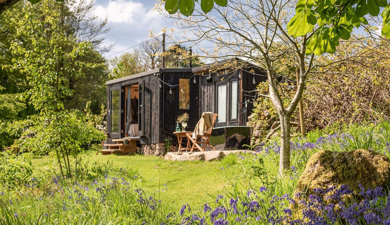 Introducing you to our dreamy hideaway...The Bird Box. 