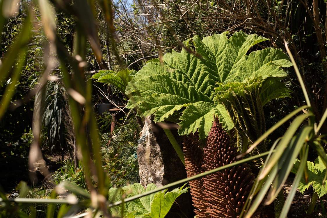 Reconnect with nature on your stay.