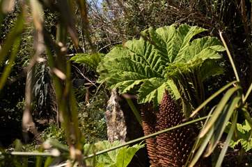 Reconnect with nature on your stay.