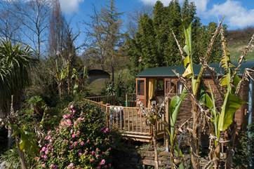 Immerse yourself in the gorgeous foliage right at your fingertips.