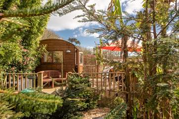 The hut's wild surroundings allow you privacy.