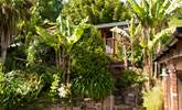 Tucked away amongst sub-tropical plants in the heart of West Cornwall.  - Thumbnail Image