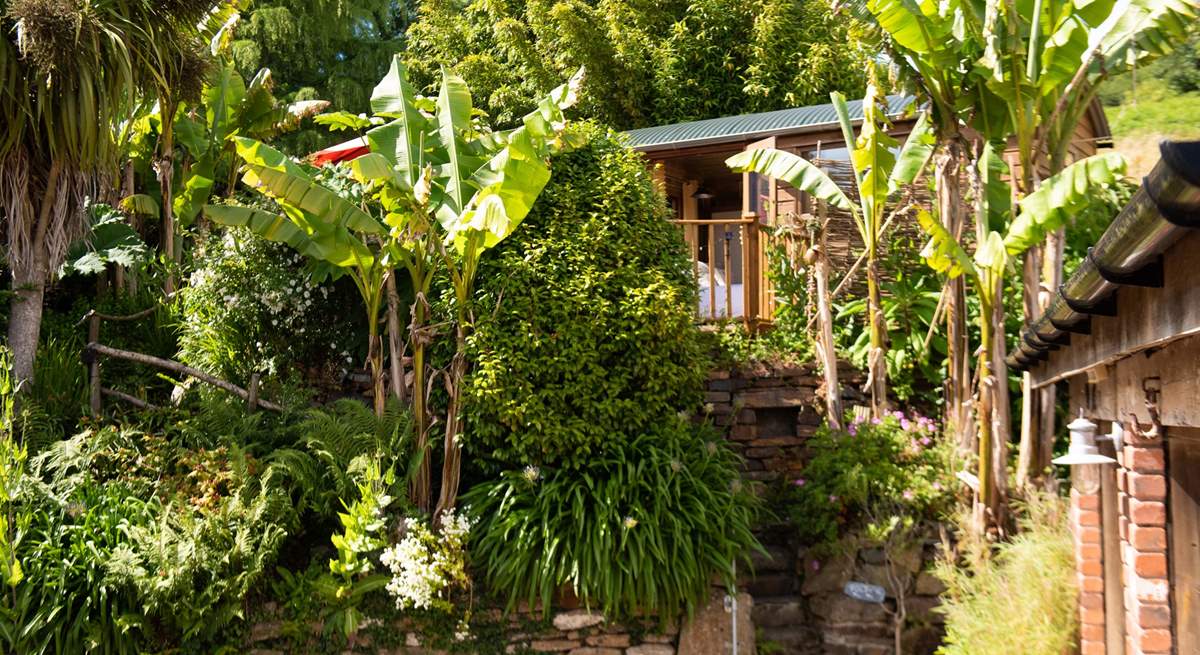 Tucked away amongst sub-tropical plants in the heart of West Cornwall. 