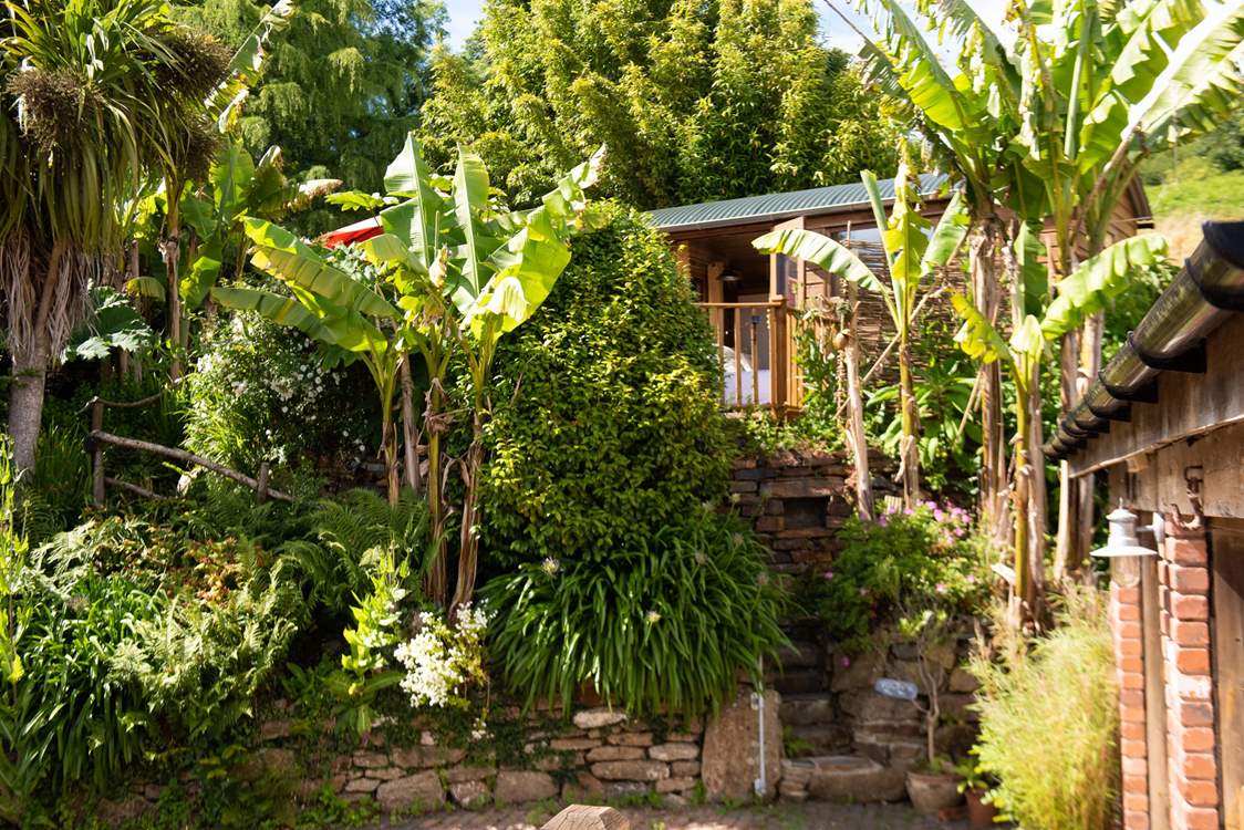Tucked away amongst sub-tropical plants in the heart of West Cornwall.