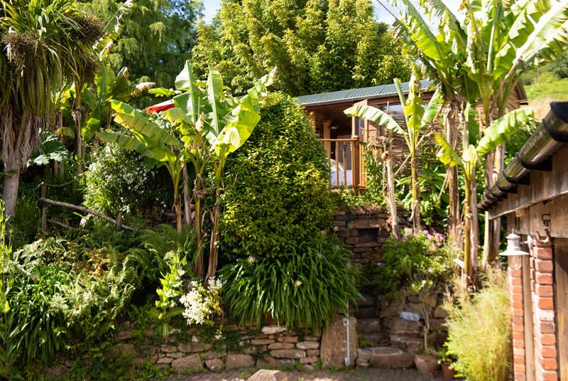 Tucked away amongst sub-tropical plants in the heart of West Cornwall. 