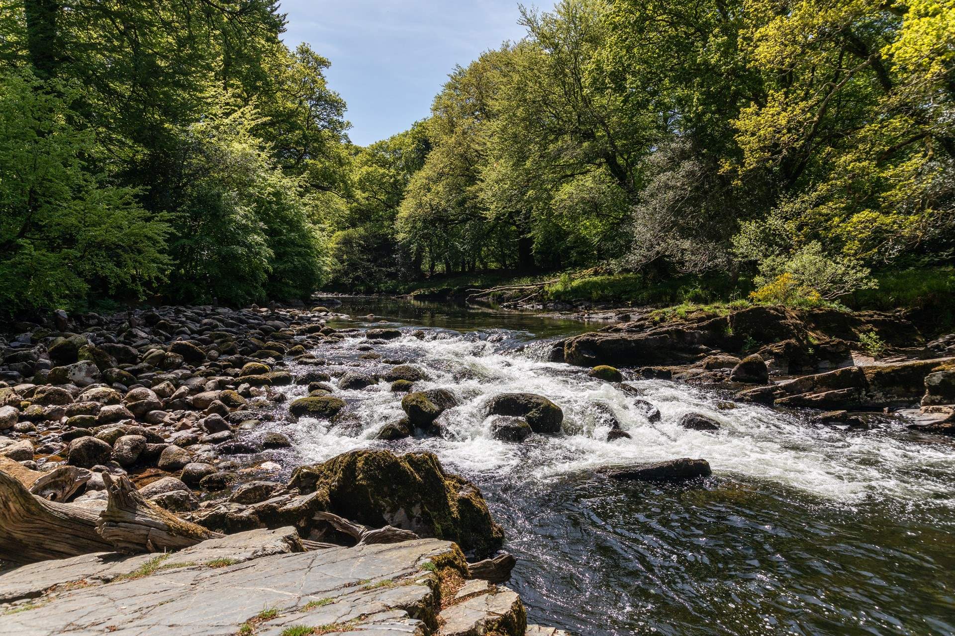 The River Dart.