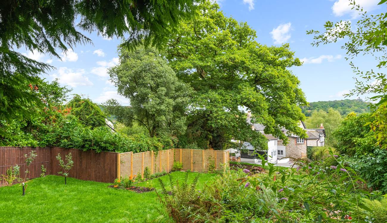 Looking back to the house from the top of the garden.