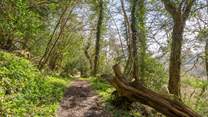 You are treated to numerous walks and trails when exploring this fabulous area. The adventurers of the group will fall in love with this heavenly area.