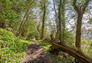 You are treated to numerous walks and trails when exploring this fabulous area. The adventurers of the group will fall in love with this heavenly area.