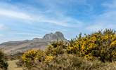 Dartmoor with Haytor in the distance. - Thumbnail Image