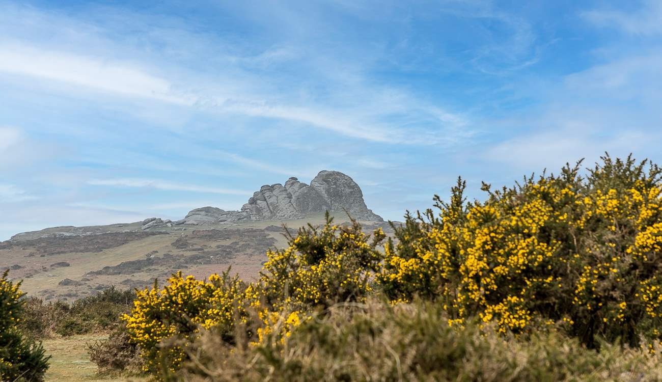 Dartmoor with Haytor in the distance.