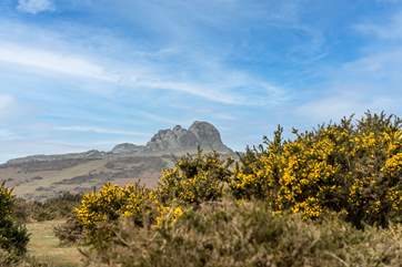 Dartmoor with Haytor in the distance.