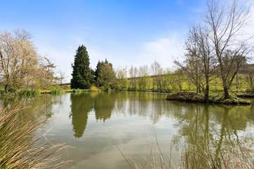 Enjoy a morning of fishing at the beautiful lake.