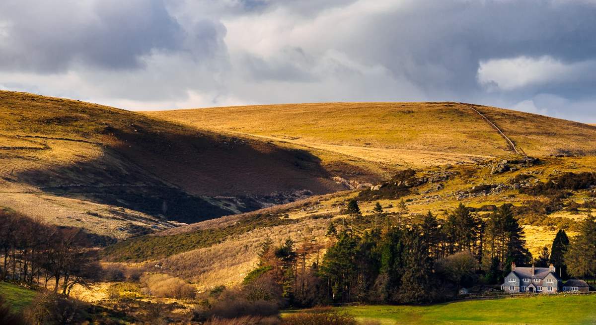 The majestic landscapes of Dartmoor are well worth a visit.