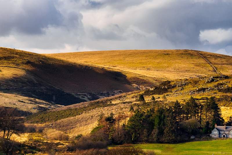 The majestic landscapes of Dartmoor are well worth a visit.