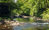 Reconnect with nature along the peaceful River Dart. - Thumbnail Image