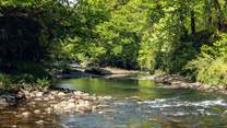 Reconnect with nature along the peaceful River Dart.