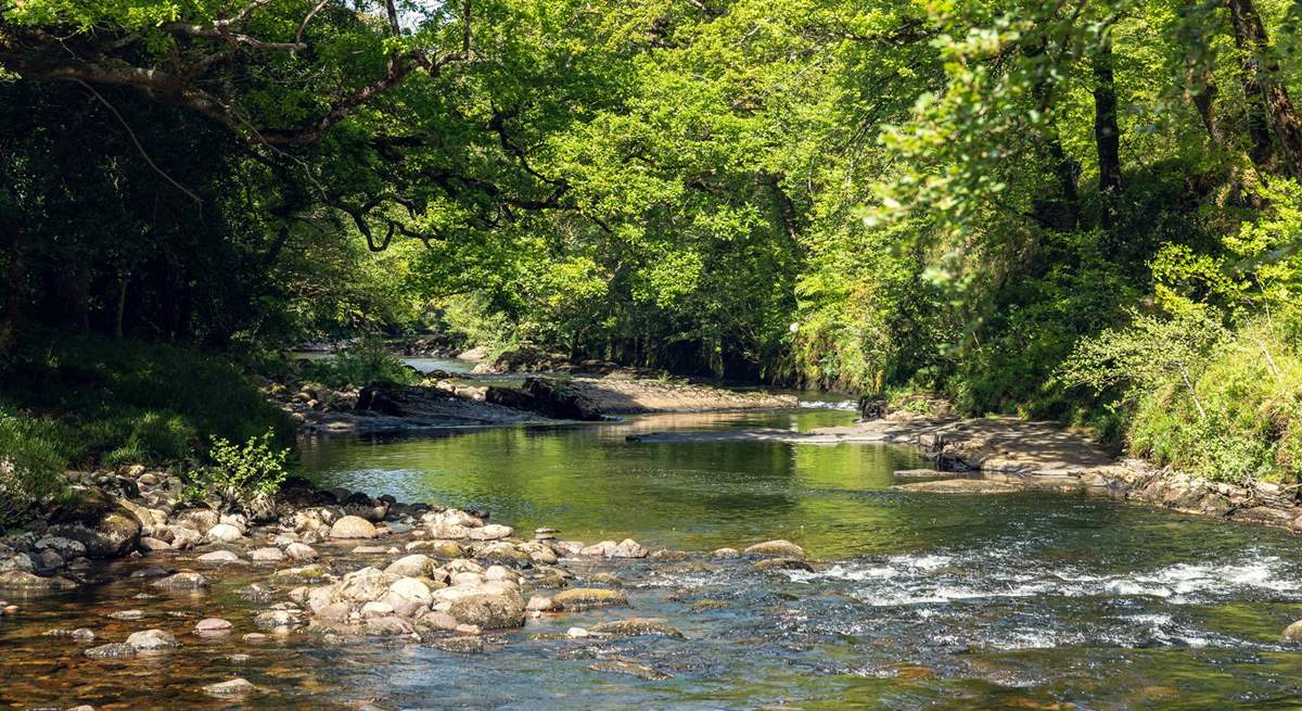 Reconnect with nature along the peaceful River Dart.