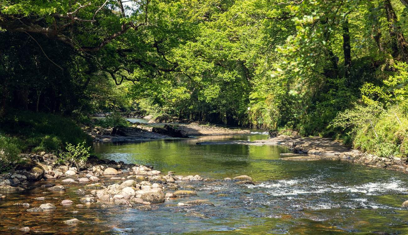 Reconnect with nature along the peaceful River Dart.