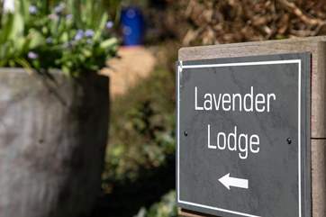 Welcome to Lavender Lodge.