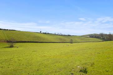 Take in the peaceful atmosphere of the surrounding areas.