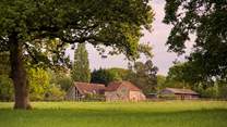 Underwood Cabin can be found in the beautiful grounds of St Hubert's Lodge. 
