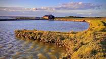 Newtown Nature Reserve is close by and a haven for wildlife.