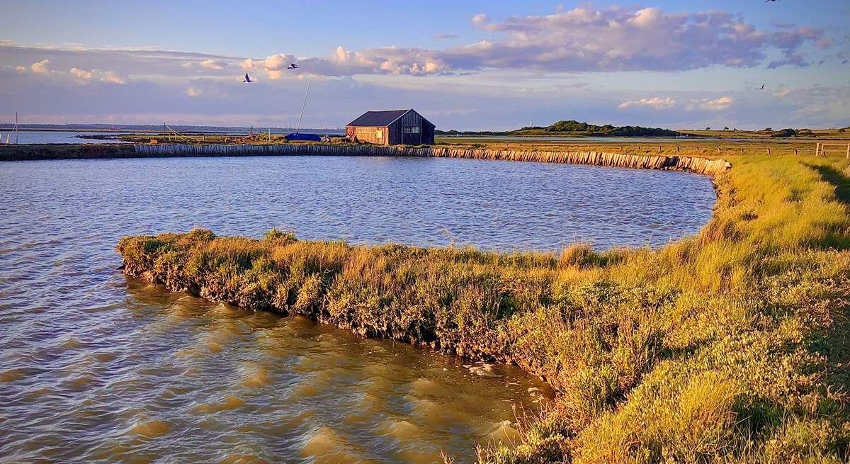 Newtown Nature Reserve is close by and a haven for wildlife.