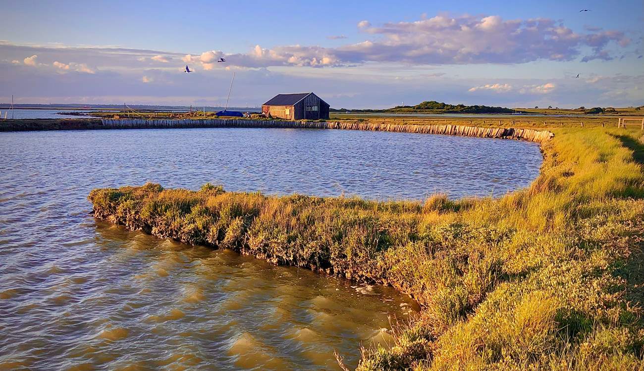 Newtown Nature Reserve is close by and a haven for wildlife.