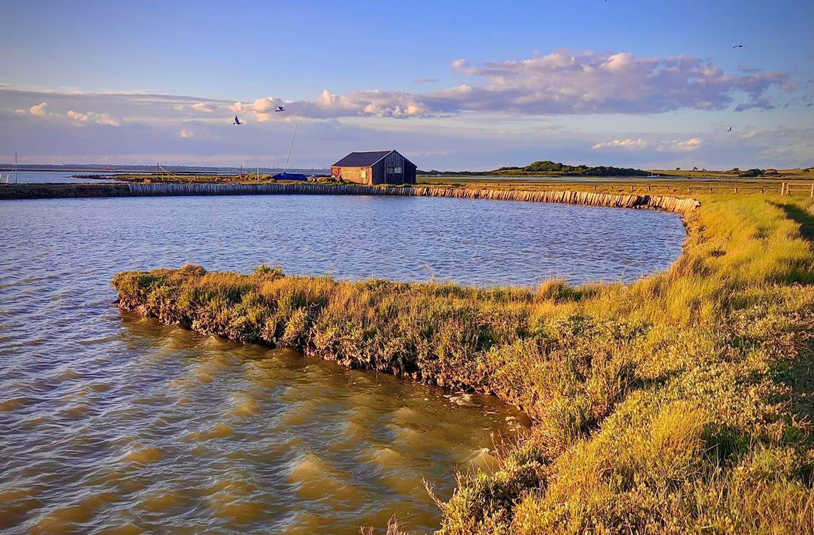 Newtown Nature Reserve is close by and a haven for wildlife.