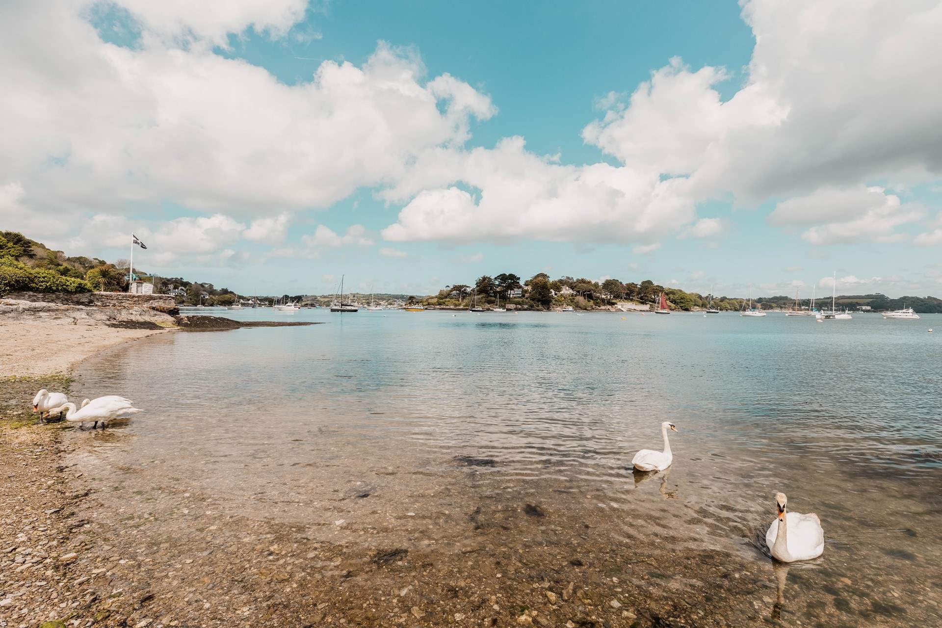 Picturesque Weir beach is only a five-minute walk down the hill from Pippin (please be aware this is tidal).