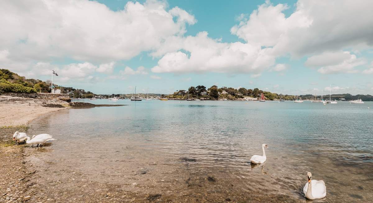 Picturesque Weir beach is only a five-minute walk down the hill from Pippin (please be aware this is tidal).