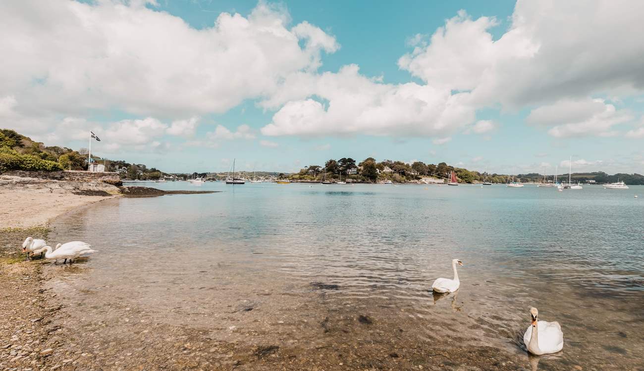 Picturesque Weir beach is only a five-minute walk down the hill from Pippin (please be aware this is tidal).