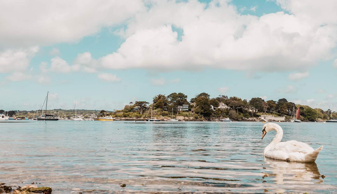 Tranquil waters are perfect to explore on your paddleboard or kayak. 