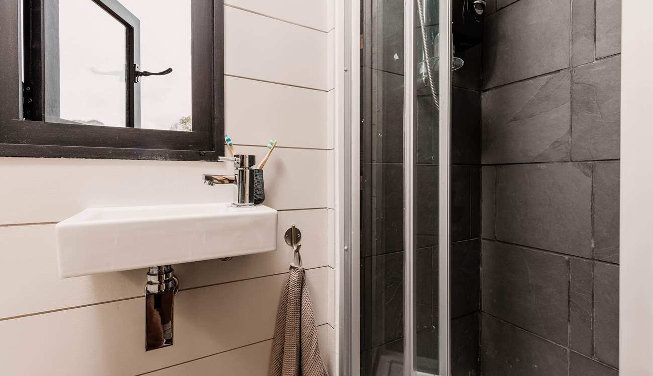 The stylish shower-room. 