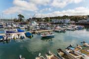 Take a wander around Mylor Yacht Harbour and admire the incredible array of boats! 