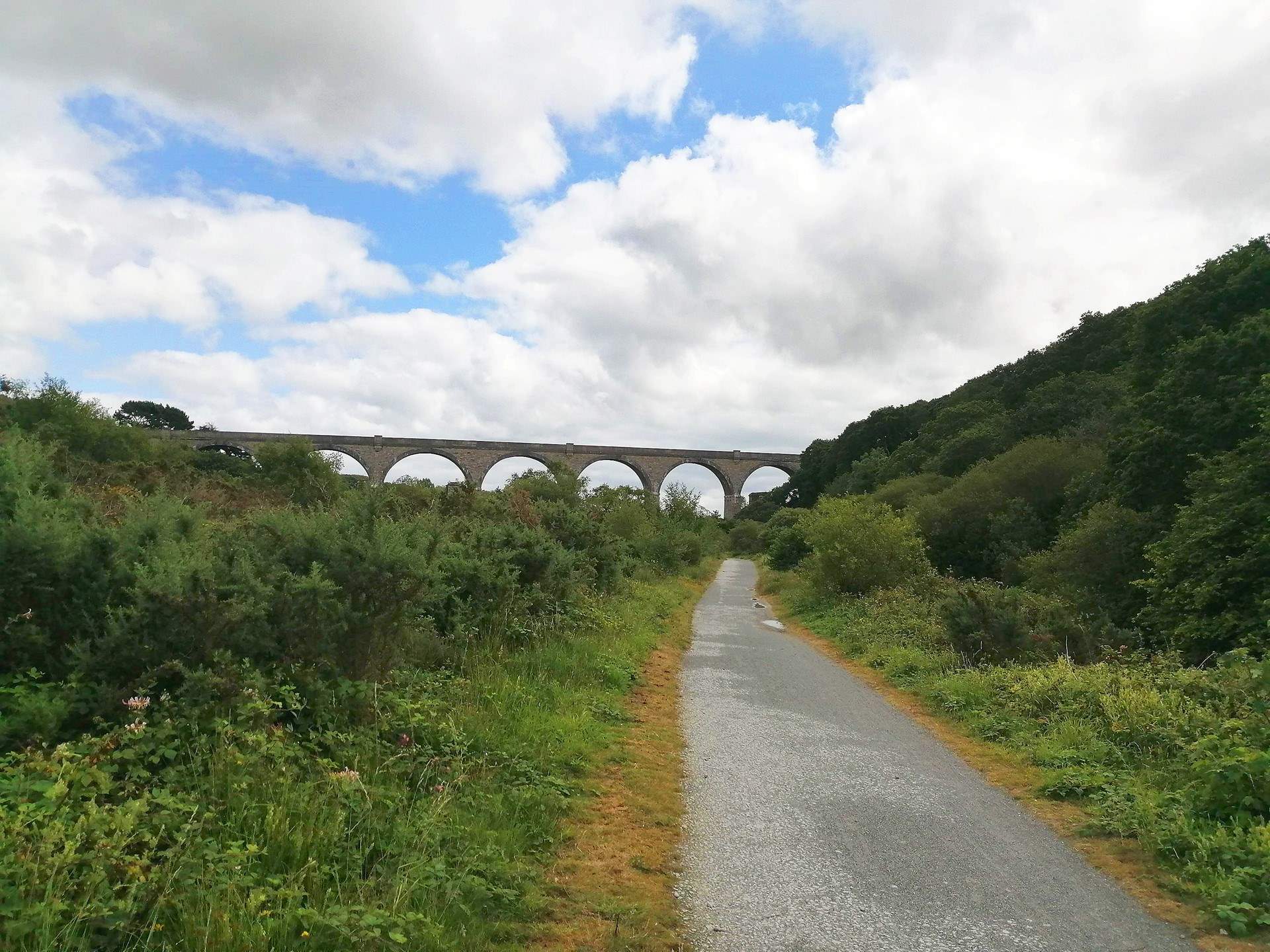 For keen cyclists, the Bissoe Trail isn't far. 