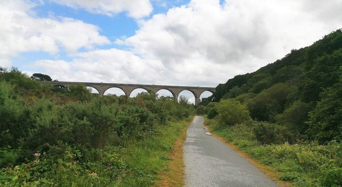 For keen cyclists, the Bissoe Trail isn't far. 