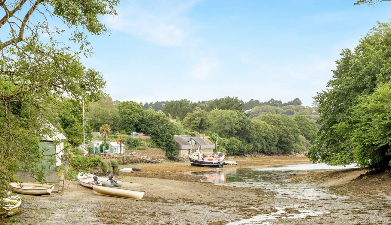 Watch the tide ebb and flow throughout the Helford Passage. 