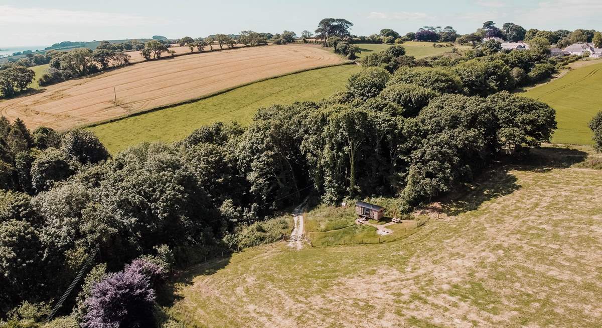 No neighbours, just you and mother nature. Please be aware there will be cattle in the paddock at certain times of the year, but Pippin is fenced off. 