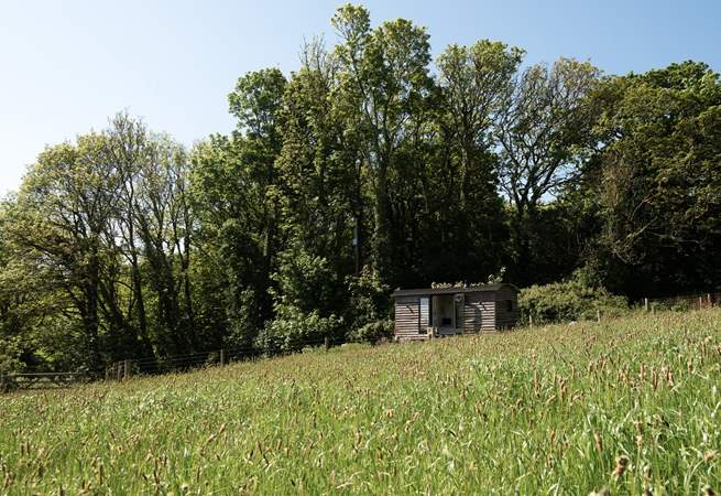 Surrounded by nature, this is the perfect hideaway to take some time out and simply unwind