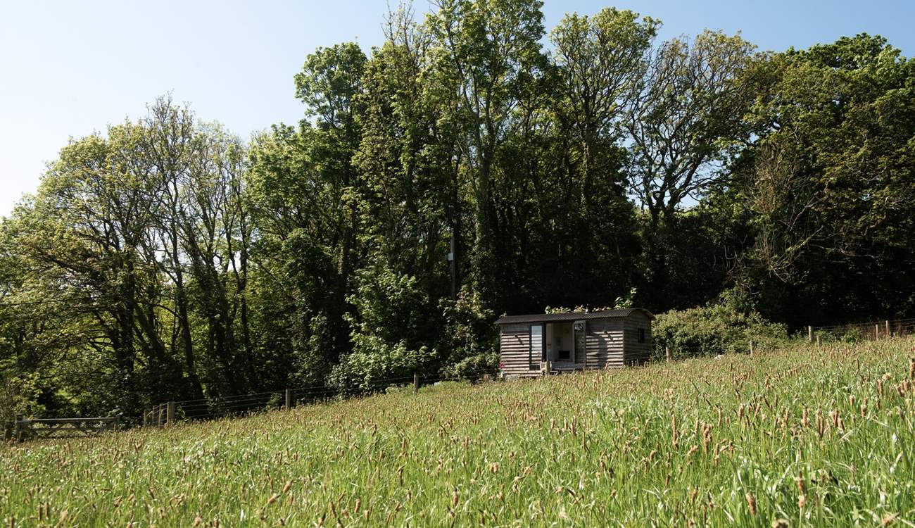 Surrounded by nature, this is the perfect hideaway to take some time out and simply unwind