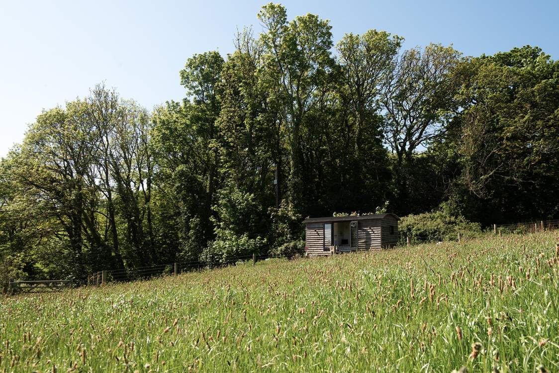 Surrounded by nature, this is the perfect hideaway to take some time out and simply unwind