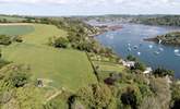Can you spot Pippin, peacefully nestled in unspoilt nature?  - Thumbnail Image