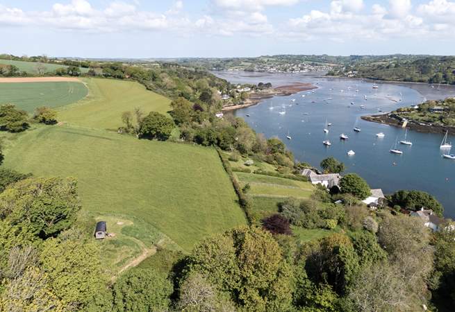 Can you spot Pippin, peacefully nestled in unspoilt nature? 