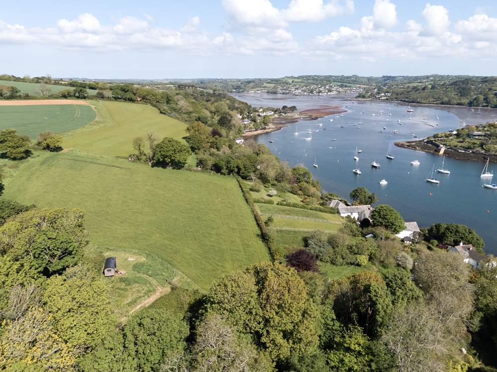 Can you spot Pippin, peacefully nestled in unspoilt nature?