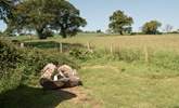 The hand-carved seat is idyllic for whiling away the hours with a good book.  - Thumbnail Image