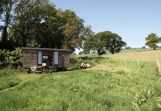 The perfect hideaway for two guests and their tiny companion. 