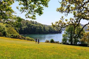 Enjoy a peaceful stroll around Trelissick Gardens.