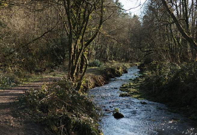 The Blackdown Hills can be reached in just over 20 minutes. This is Otterhead Lakes walk, a lovely circular route.